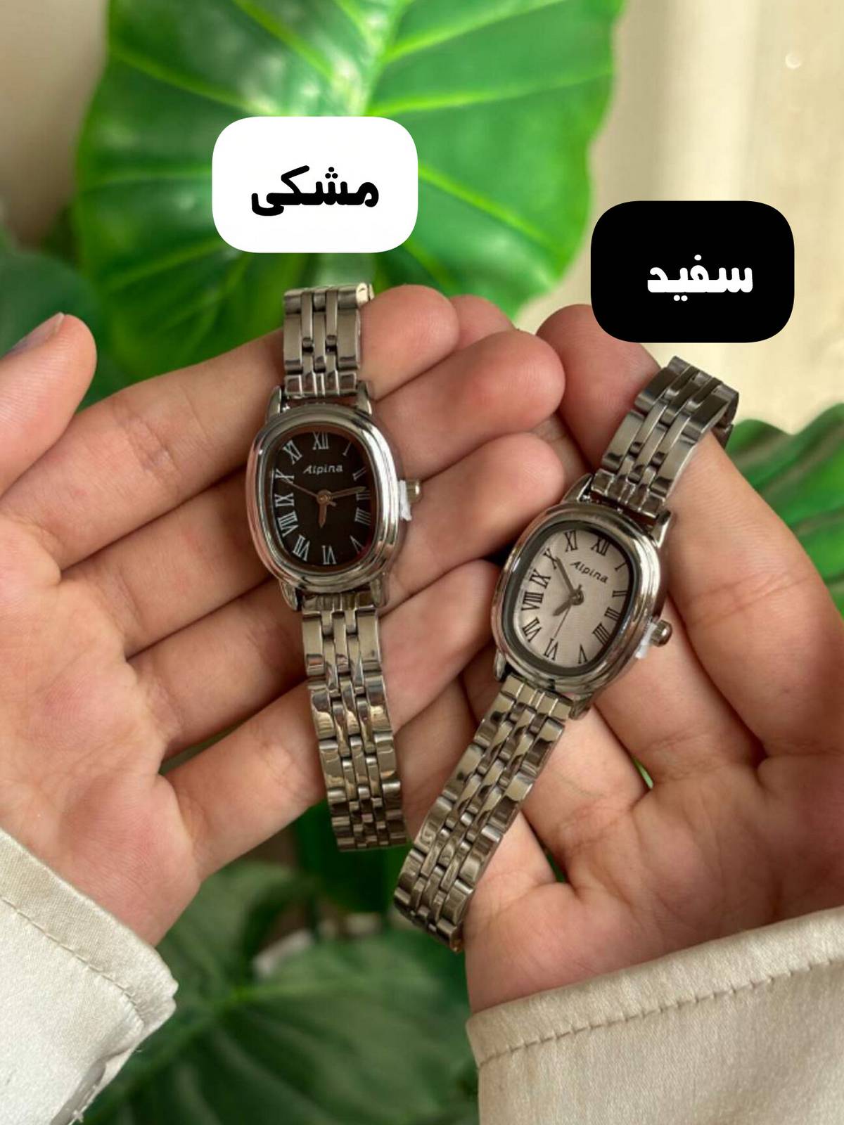 InShot_20260427_160012342 ساعت زنانه آلپینا مدلW379 - Image 1